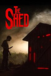 The-Shed