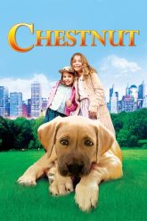 Chestnut Hero of Central Park